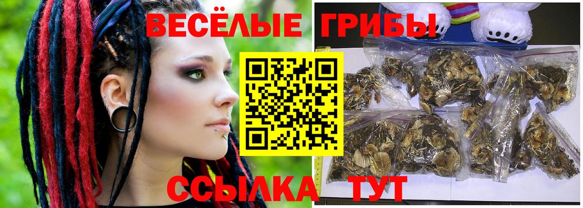 Ачинск  Галлюциногенные грибы GOLDEN TEACHER  Псилоцибиновые грибы мицелий  Вход с VPN 