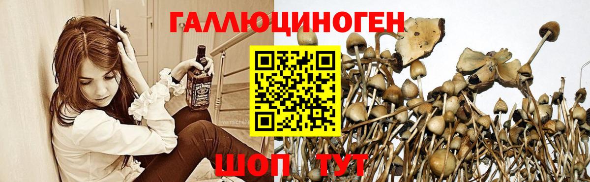 Галлюциногенные грибы прущие грибы Ачинск